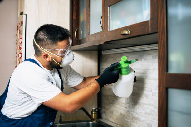Best Bed Bug Extermination  in North Terre Haute, IN