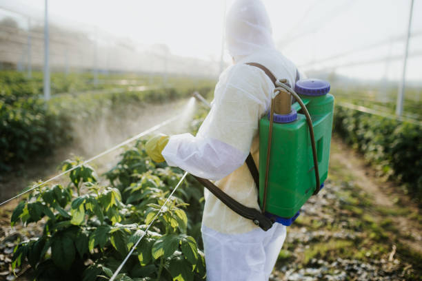 Best Ant Control Services  in North Terre Haute, IN